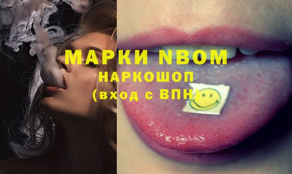 дживик Слюдянка
